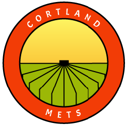 mets logo